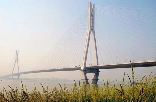中国中铁6座桥梁荣获2023年度桥梁创新工程，展现中国基建硬实力